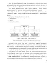 Vidaus ir išorės audito santykis 5 puslapis