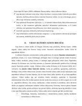 Vidaus ir išorės audito santykis 8 puslapis