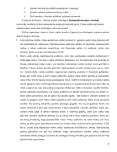 Vidaus ir išorės audito santykis 9 puslapis