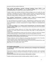 Paraiška skirti finansinę pagalbą pagal Lietuvos 2004-2006 metų bendrojo programavimo dokumentą 17 puslapis