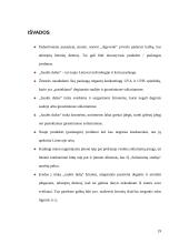 Paraiška skirti finansinę pagalbą pagal Lietuvos 2004-2006 metų bendrojo programavimo dokumentą 19 puslapis