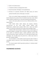 Paraiška skirti finansinę pagalbą pagal Lietuvos 2004-2006 metų bendrojo programavimo dokumentą 3 puslapis