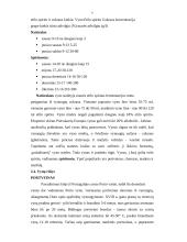 Vynas ir šampanas 7 puslapis