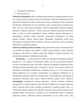 Pardavimo diskontų, nuolaidų ir grąžinimo apskaita 5 puslapis