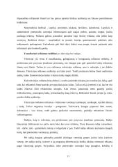 Pardavimų rėmimai 11 puslapis