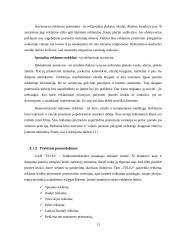 Pardavimų rėmimai 13 puslapis