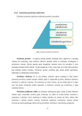 Pardavimų rėmimai 17 puslapis