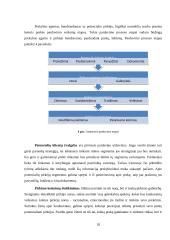 Pardavimų rėmimai 18 puslapis