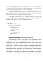 Pardavimų rėmimai 10 puslapis