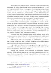 Pasaulinio ūkio samprata, raida ir problemos 14 puslapis