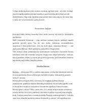XVIII-XIX amžiaus teatras 15 puslapis