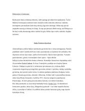 XVIII-XIX amžiaus teatras 5 puslapis