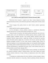 Pasėlių draudimo politika 7 puslapis