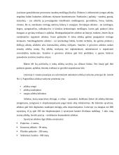 Paslaugos visuomenei, ugdant jos ekologinę kultūrą 19 puslapis