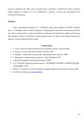 Pasukamas kranas 20 puslapis