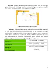 Pasukamas kranas 5 puslapis