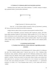 Pasukamas kranas 8 puslapis