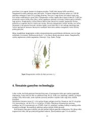 Pašarininkystė: šienainio gamyba 11 puslapis