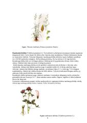 Pašarininkystė: šienainio gamyba 8 puslapis