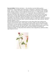 Pašarininkystė: šienainio gamyba 9 puslapis