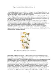 Pašarininkystė: šienainio gamyba 10 puslapis