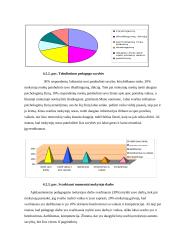 Pedagogo asmens savybių svarba moksleivių ugdymui 20 puslapis