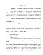 Rankdarbių iš popieriaus (Origami) paklausos tyrimas 13 puslapis