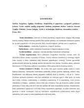 Rankdarbių iš popieriaus (Origami) paklausos tyrimas 3 puslapis