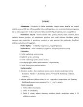 Rankdarbių iš popieriaus (Origami) paklausos tyrimas 4 puslapis