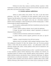 Rankdarbių iš popieriaus (Origami) paklausos tyrimas 8 puslapis