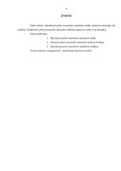 Pelno (nuostolio) ataskaitos formos, sudėtis bei rodiklių analizė 3 puslapis