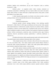 Pelno (nuostolio) ataskaitos formos, sudėtis bei rodiklių analizė 10 puslapis