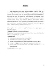 Tyrimo ataskaita: "II klasės mokinių žinių apie veiksmą, būdą ir daiktą reiškiančių žodžių įsisavinimo lygis" 3 puslapis