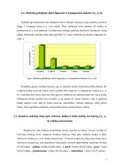 Tyrimo ataskaita: "II klasės mokinių žinių apie veiksmą, būdą ir daiktą reiškiančių žodžių įsisavinimo lygis" 7 puslapis