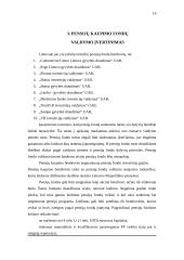 Senatvės pensijų reforma Lietuvoje 15 puslapis