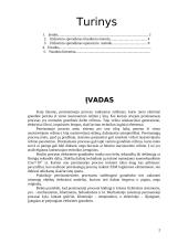 Pereinamųjų procesų elektros grandinėse analizė 2 puslapis