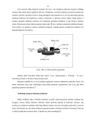 Alytaus medienos apdirbimo pramonė Lietuvos kontekste 15 puslapis