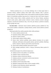 Alytaus medienos apdirbimo pramonė Lietuvos kontekste 4 puslapis