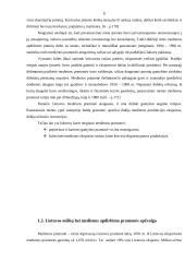 Alytaus medienos apdirbimo pramonė Lietuvos kontekste 9 puslapis