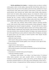 Ikimokyklinio amžiaus vaikų socialinių įgūdžių ugdymas per muzikinę veiklą 14 puslapis