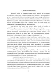 Ikimokyklinio amžiaus vaikų socialinių įgūdžių ugdymas per muzikinę veiklą 5 puslapis