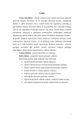 Personalo valdymo tarptautinėje įmonėje sistema 2 puslapis