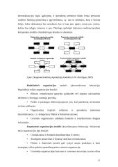 Personalo valdymo tarptautinėje įmonėje sistema 17 puslapis