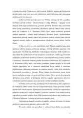 Personalo valdymo tarptautinėje įmonėje sistema 5 puslapis