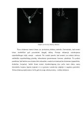 Piktnaudžiavimas seksualumu komunikacijoje ir tendencijos 12 puslapis