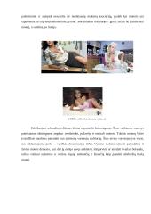 Piktnaudžiavimas seksualumu komunikacijoje ir tendencijos 14 puslapis