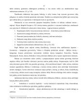 Vilniaus miesto plėtros kryptys ir priemonės 12 puslapis