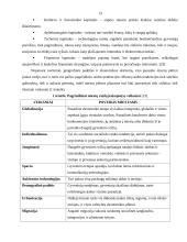 Vilniaus miesto plėtros kryptys ir priemonės 13 puslapis