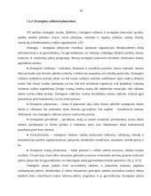 Vilniaus miesto plėtros kryptys ir priemonės 18 puslapis