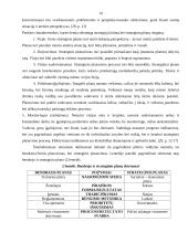 Vilniaus miesto plėtros kryptys ir priemonės 19 puslapis